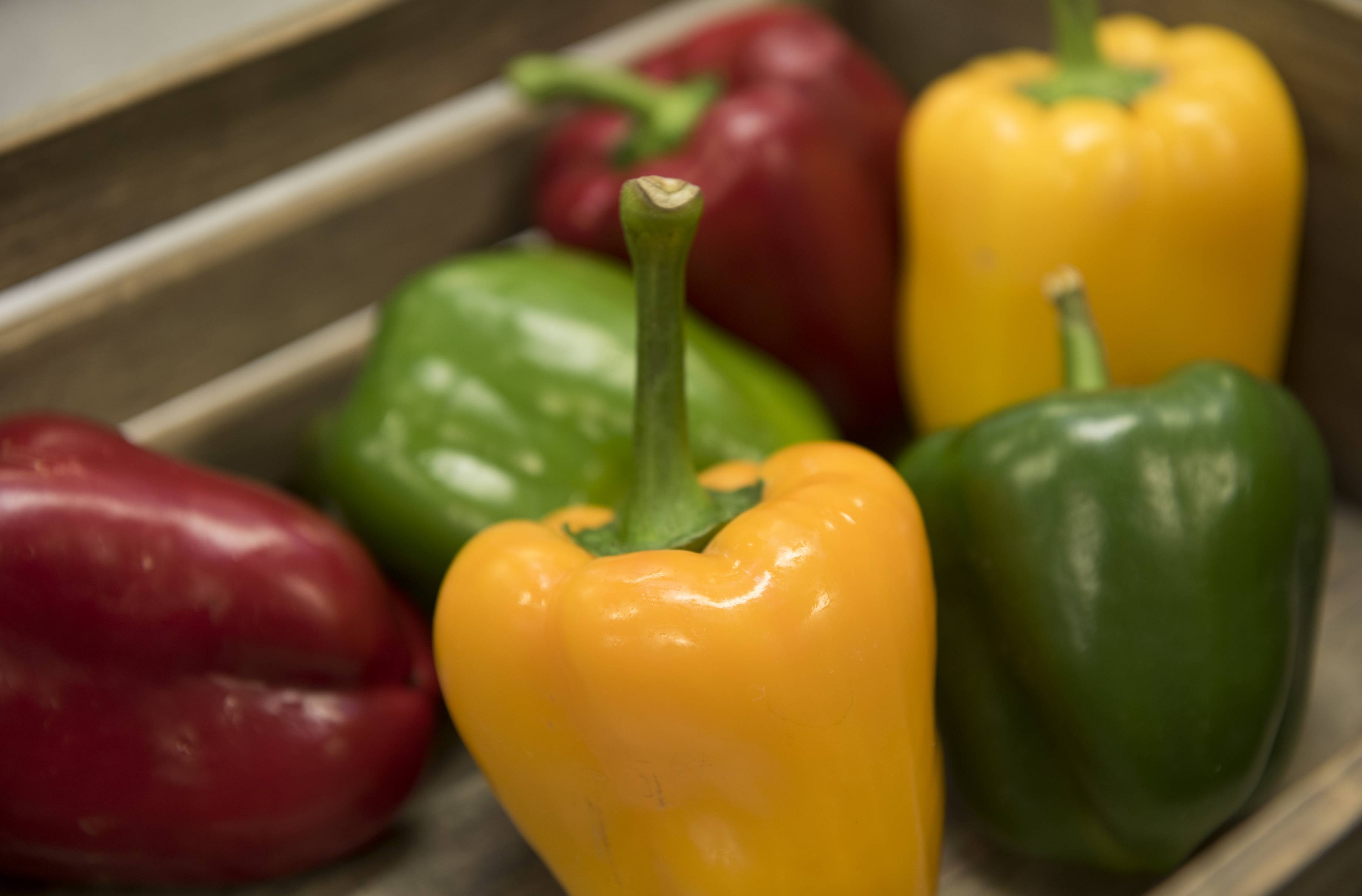 Menu allergen information by Waltham Forest Catering